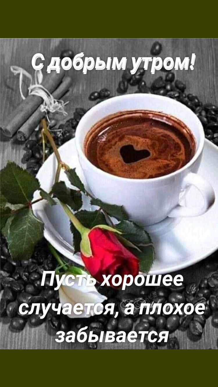 Г 6 утром я а Лохов забывается
