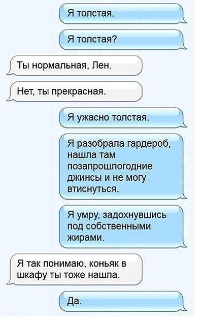 Я толстая Ты нормальная Лен Нет ты прекрасная Я разобрала гардероб нашла там позапрошлогодние джинсы и не могу втиснуться Я умру задохнуешись под собственными жирамио Я так понимаю коньяк в шкафу ты тоже нацша