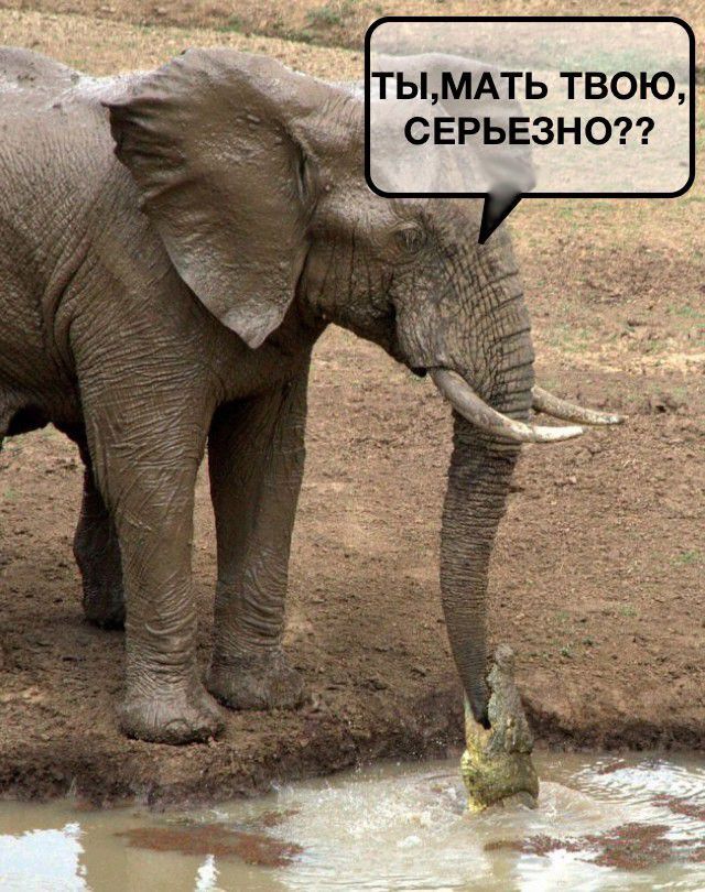 тымдть твою серьезно