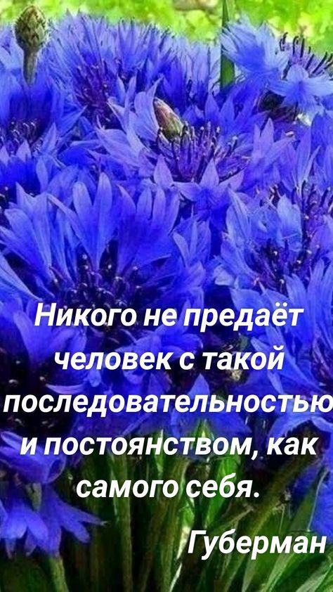 х _ _ __7 Никого не предаЁт человек с такбй последовательноспвю и постояНстЁЬм как самогорезь