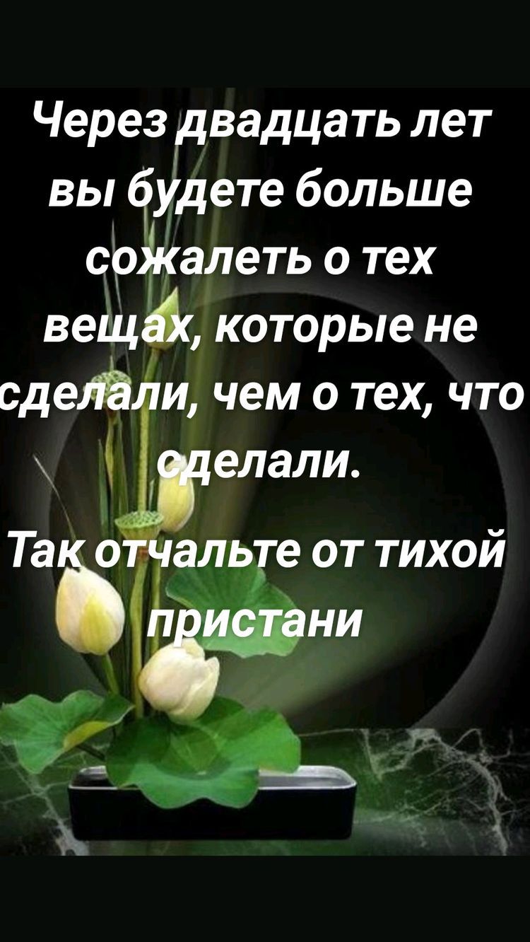 Через вадцать лет вы Дате больше ср алеть о тех вещ которые не сдеЁ и чем о тех что
