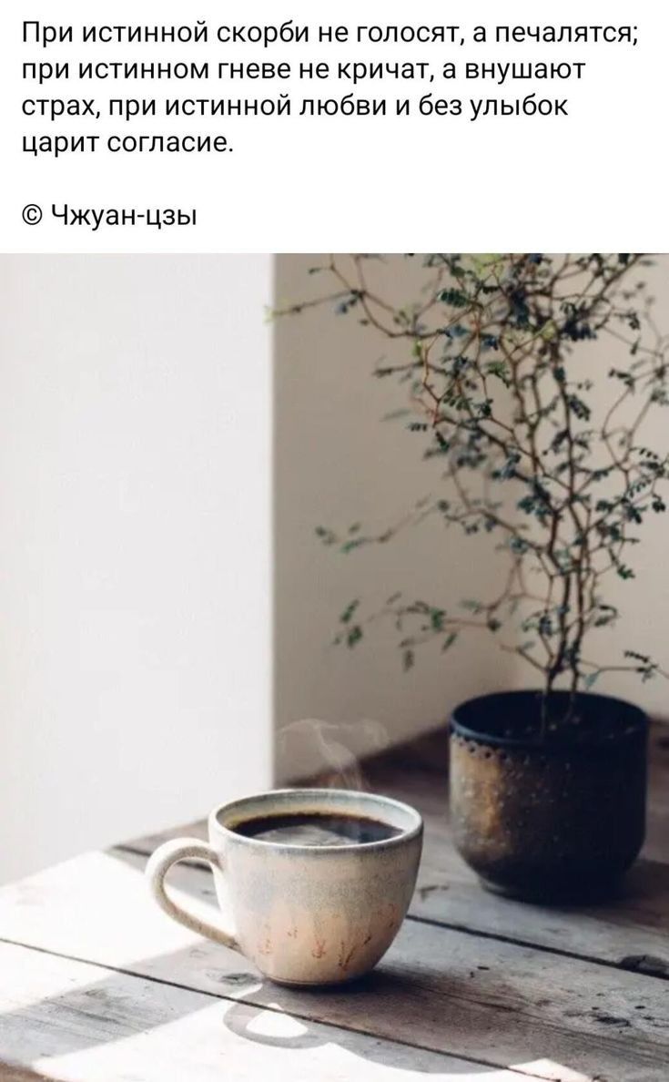 При истинной скорби не гопосят а печалится при истинном гневе не кричат а внушают страх при истинной любви и без улыбок царит сагласие Чжуан цзы