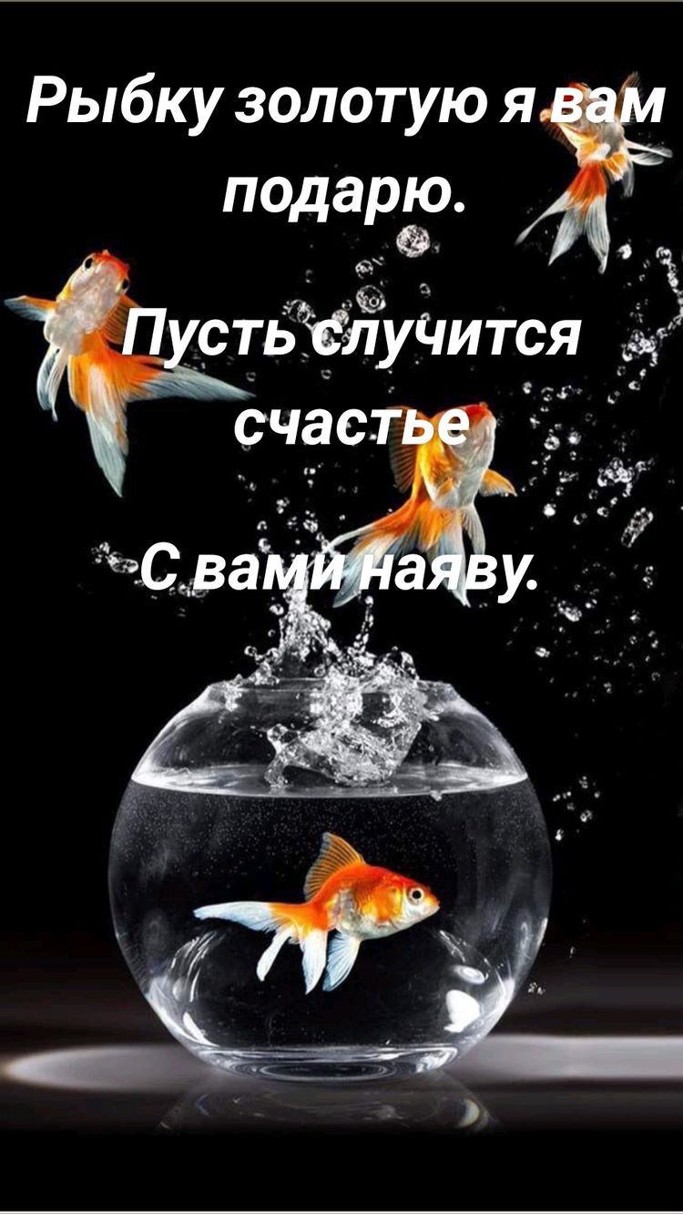 Рыбку золотую я подагре Ч Я стьЖлучится _