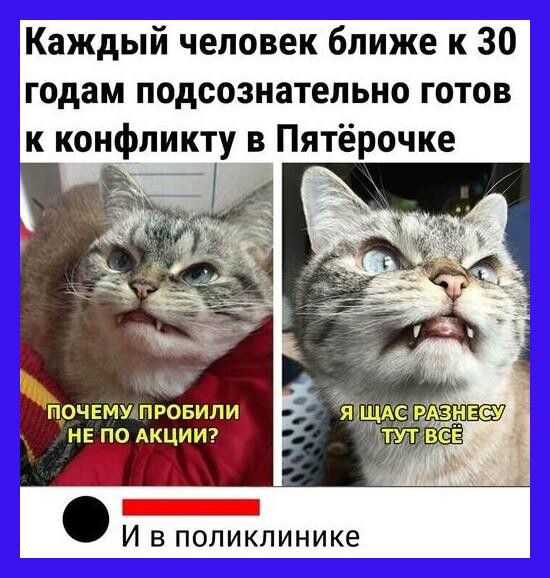 Каждый человек ближе к 30 годам подсознательно готов к конфликту в Пятёрочке И в поликлинике