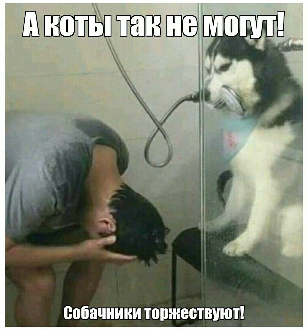 ЁВЁВШИИИ ПШЖЕСТШШТ
