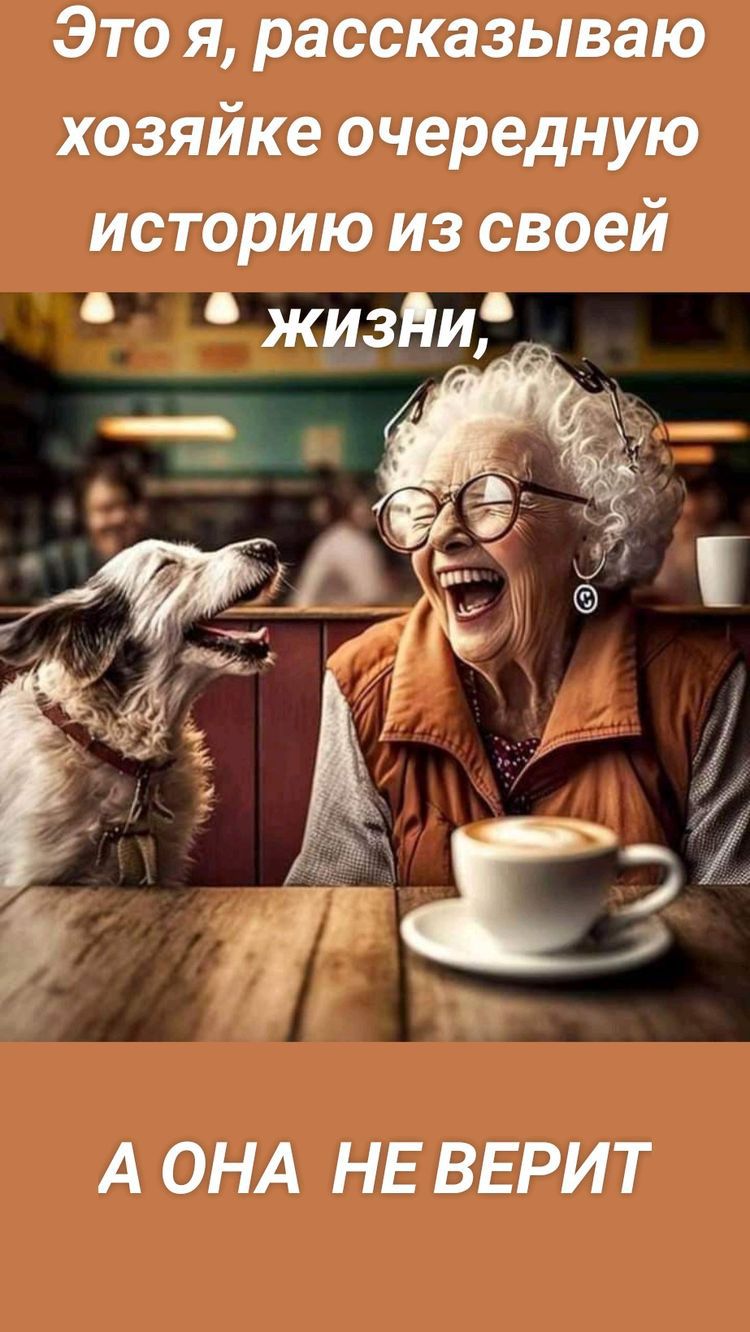 Это я рассказываю хозяйке очередную историю из своей А ОНА НЕ ВЕРИТ
