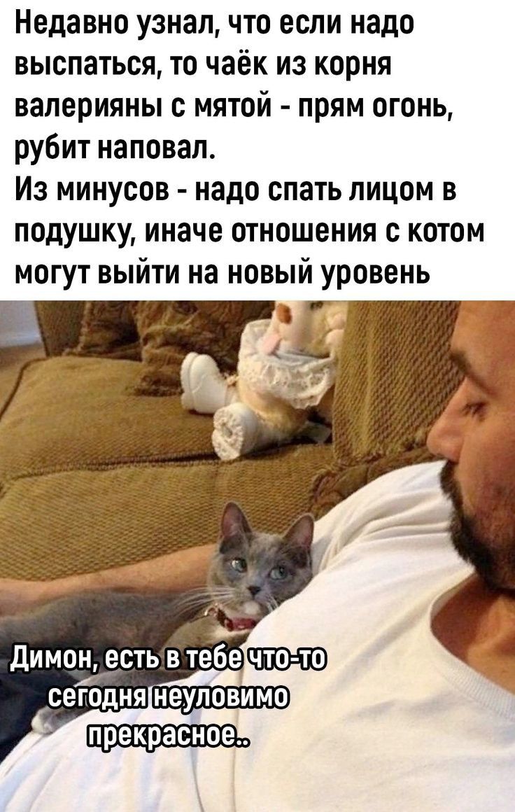 Недавно узнал что если надо выспаться то чаёк из корня валерияны мятой прям огонь рубит наповал Из минусов надо спать лицом в подушку иначе отношения с котом могут выйти на новый уровень БЕ димон есть в тебе сеЁоДня неуловимо прекрасое