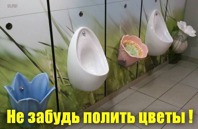 Не забудь ШШ ЦВЕТЫ