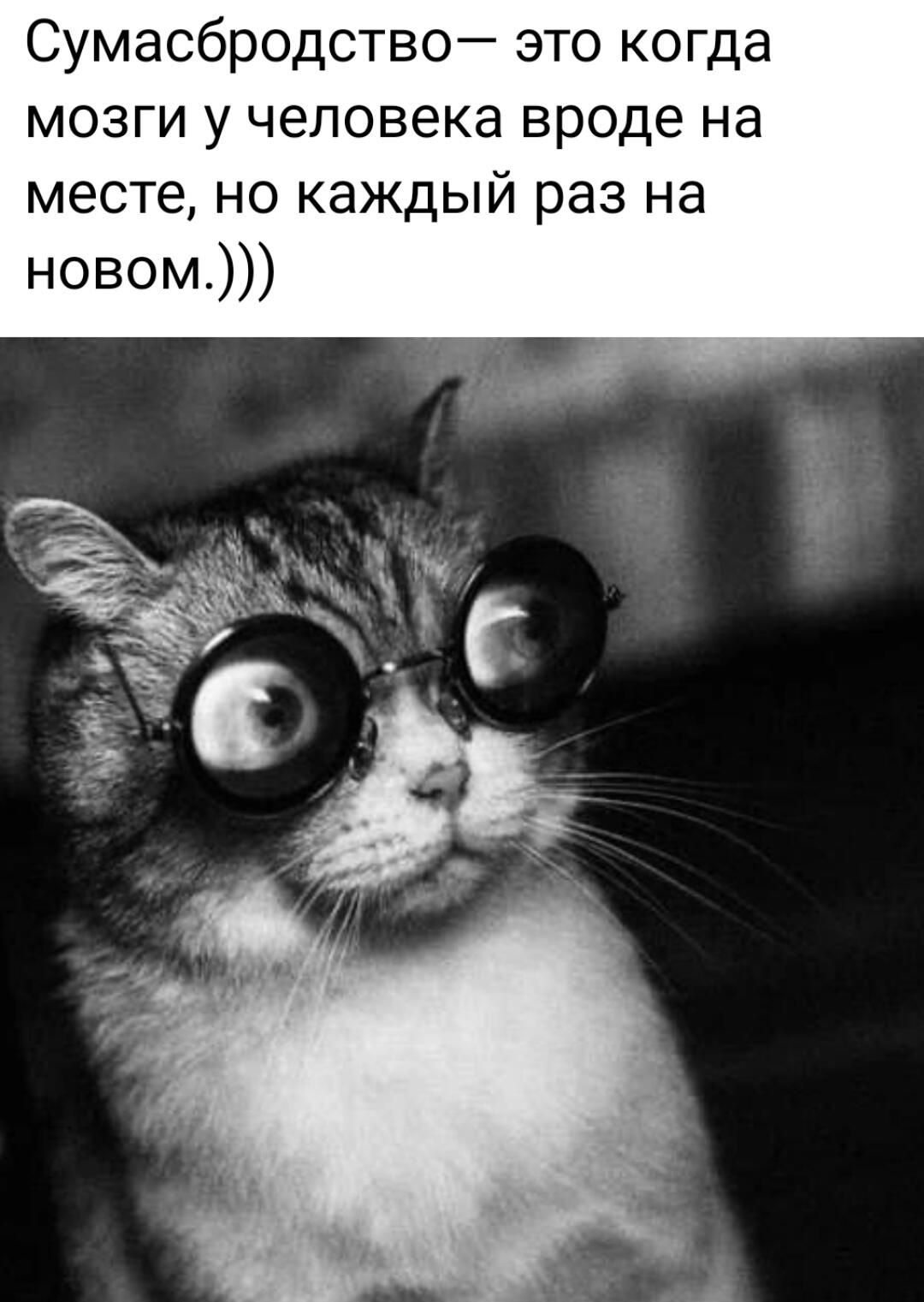 Сумасбродство это когда мозги у человека вроде на месте но каждый раз на