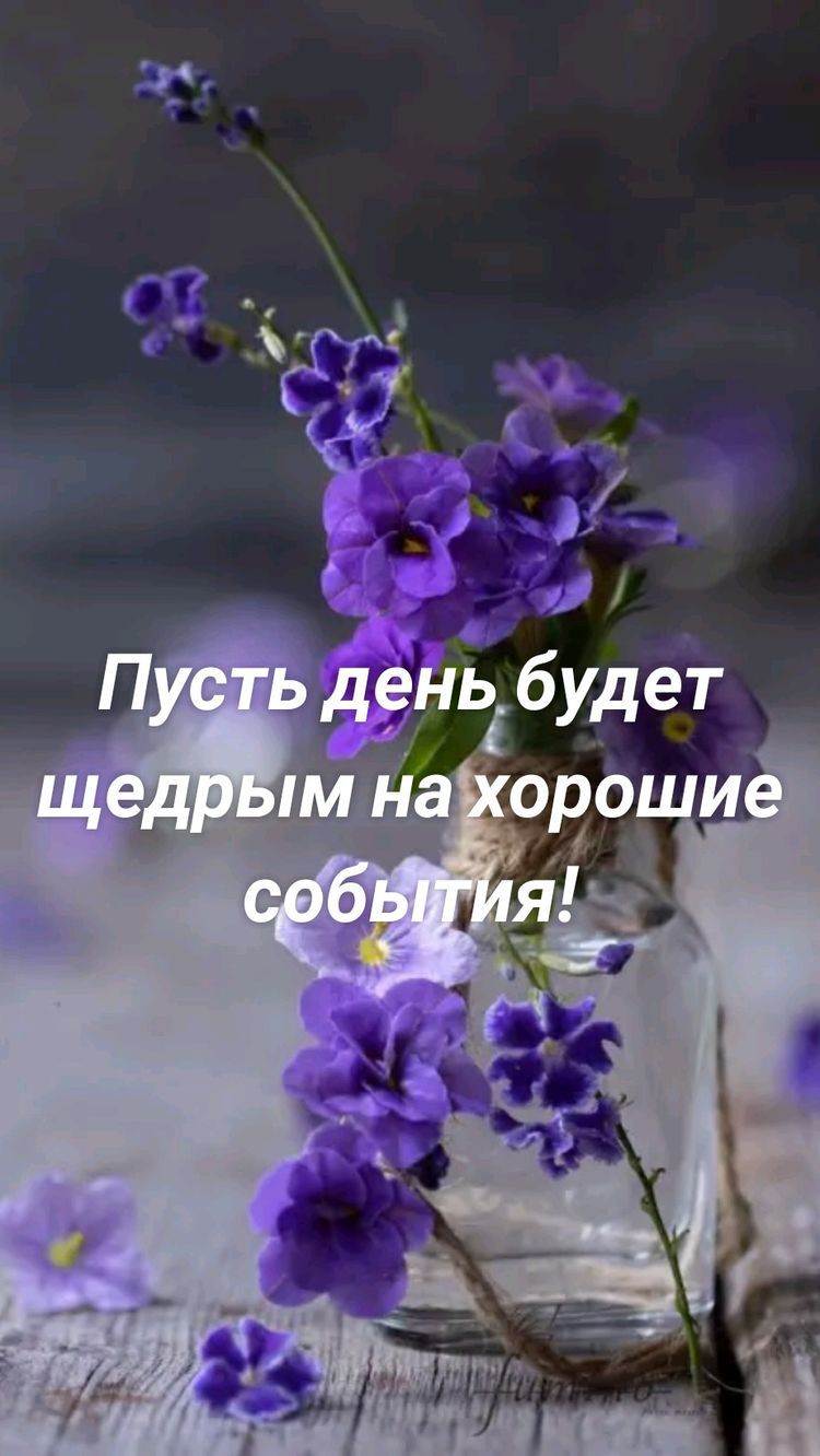 из ст К 1 Г 71 день будет