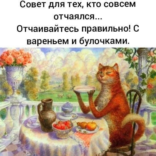Совет для тех кто совсем отчаялся Отчаивайтесь правильно С вареньем и булочками