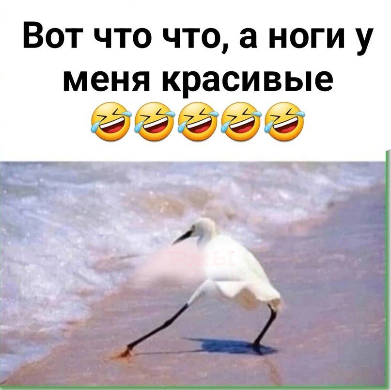 ВОТ ЧТО ЧТО а НОГИ У меня красивые 99999 _т