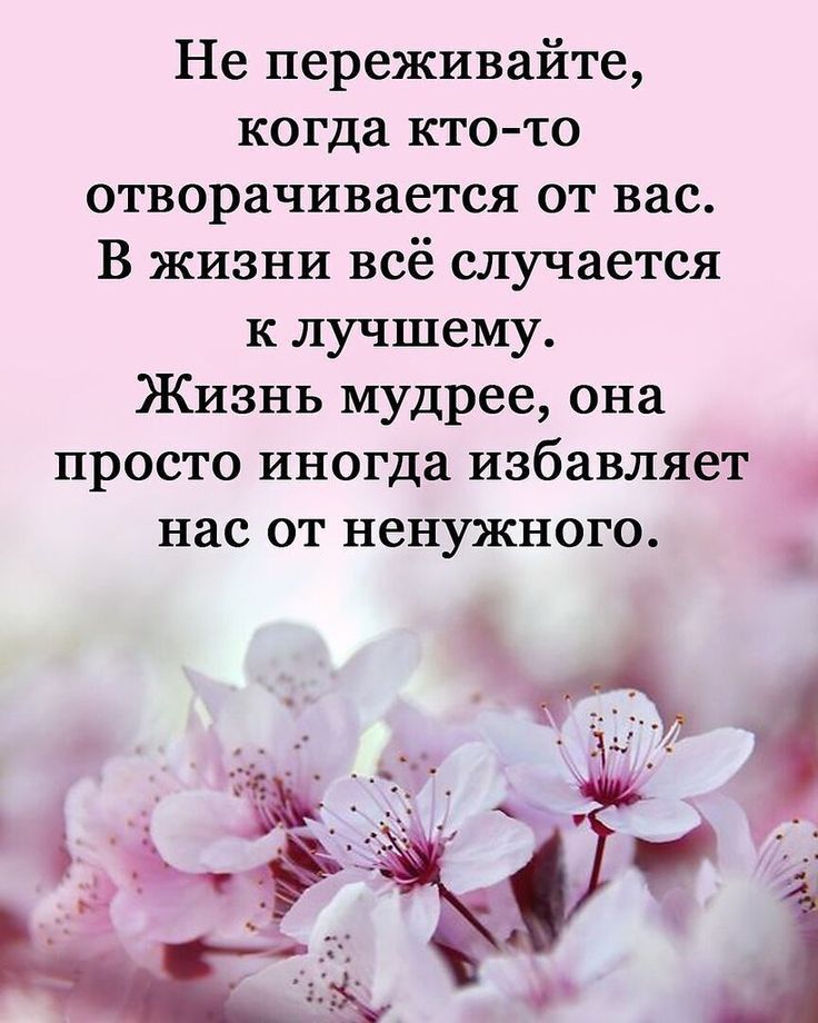 Не переживайте когда ктото отворачивается от вас В жизни всё случается к лучшему Жизнь мудрее она просто иногда избавляет нас от ненужного