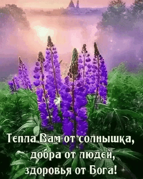 здоровы от Бога