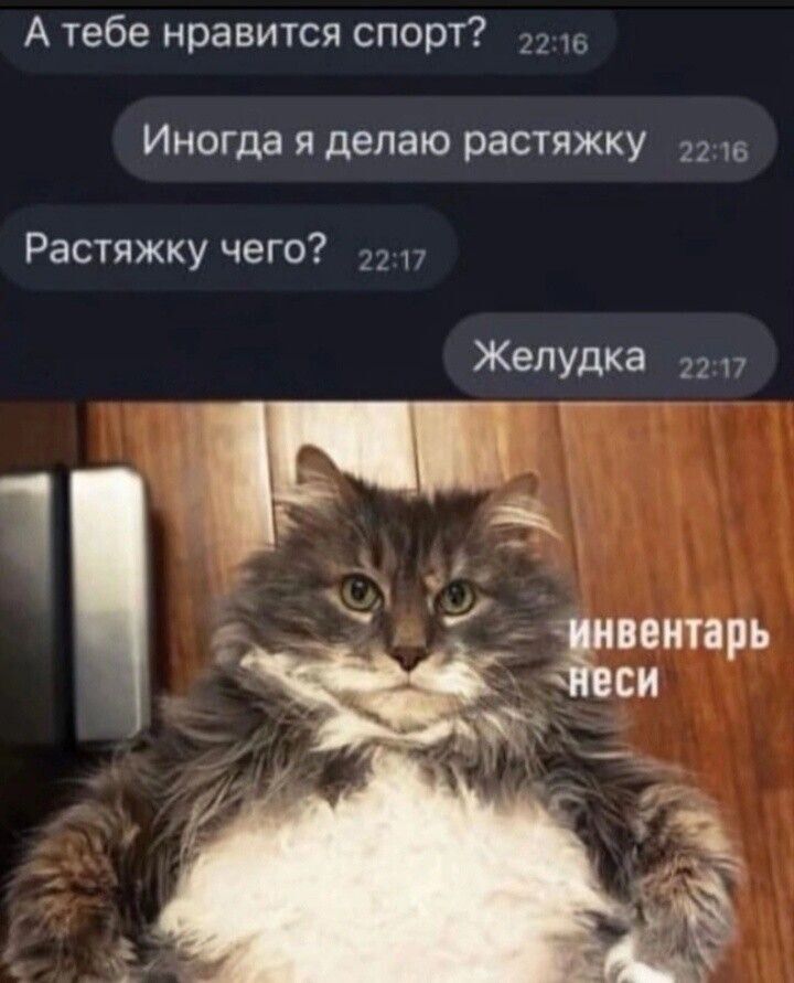 А тебе нравится спорт и Иногда я делаю растяжку Растяжку чего Желудка п