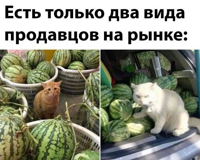 Есть только два вида продавцов на рынке М
