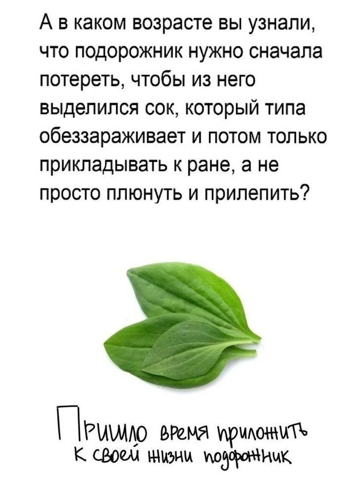 А В каком возрасте Вы узнали ЧТО ПОДОРОЖНИК НУЖНО СНЭЧЭПЭ потереть чтобы из него выделился СОК КОТОРЫЙ типа обеззараживает И ПОТОМ ТОЛЬКО ПРИКЛЗДЫВЭТЬ К ране а не ПРОСТО ПЛЮНУТЬ И прилепить ПРМ30 время иры к свои жизни Ицк