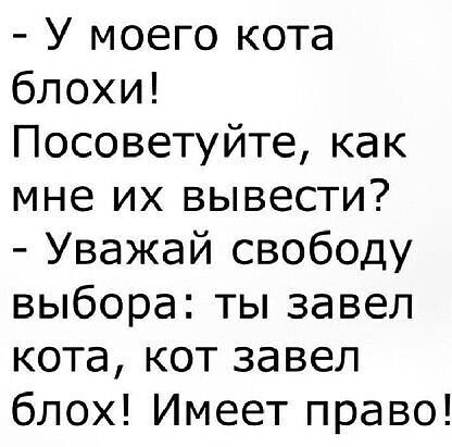 У моего кота блохи Посоветуйте как мне их вывести Уважай свободу выбора ты завел кота кот завел блох Имеет право