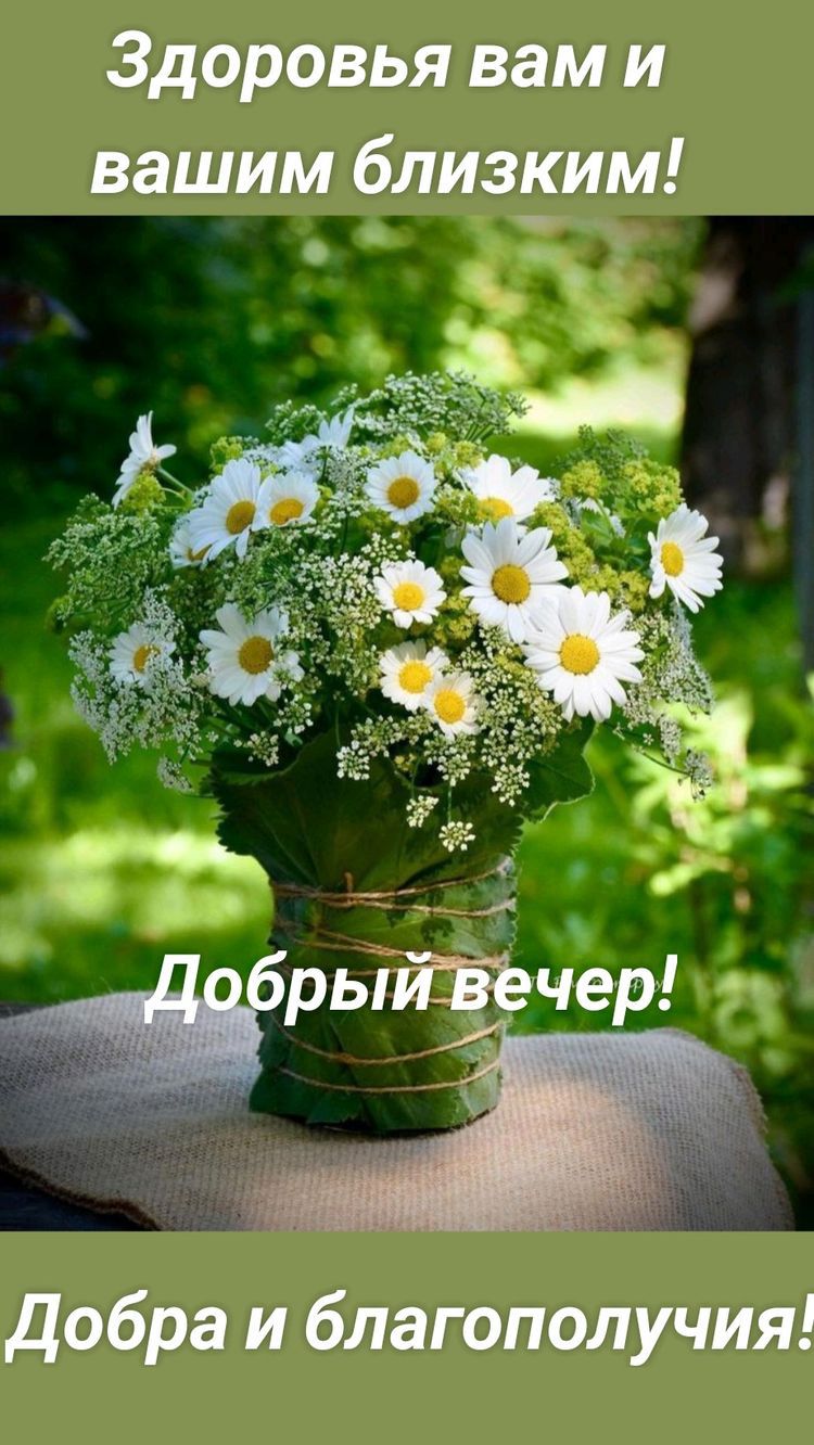 Здоровья вам и вашим близким добра и благополучия