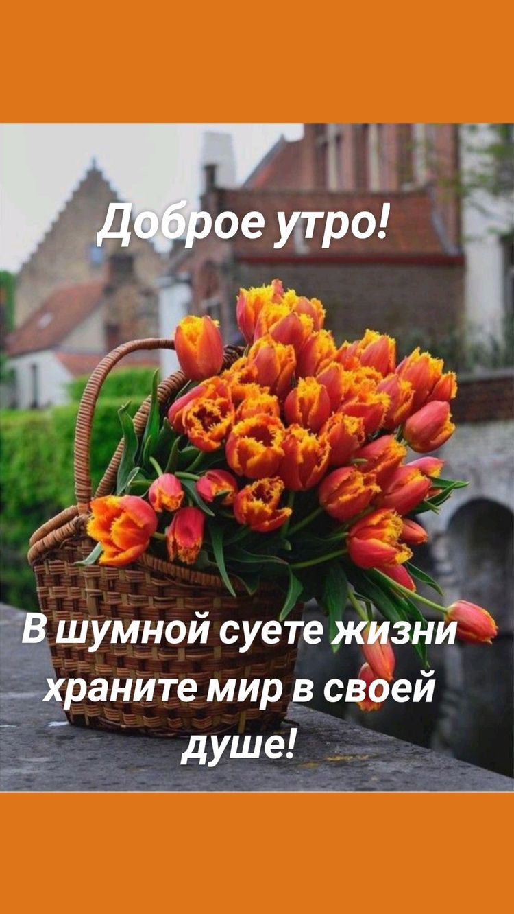 В шумной суете жцзни раните мир в своей