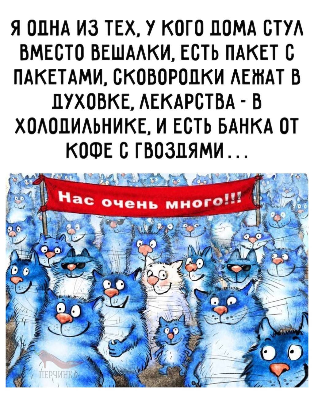 Я ОПНА ИЗ ТЕХ У КОГО ДОМА СТУ ВМЕСТО ВЕШААКИ ЕСТЬ ПАКЕТ О ПАКЕТАМИ ОКОВОРОЦКИ АЕШАТ В ЦУХОВКЕ АЕКАРОТВА Б ХОАОЦИАЬНИКЕ И ЕСТЬ БАНКА ОТ КОФЕ О ГВОЗЦЯМИ