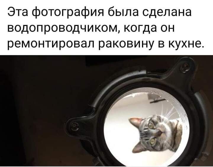 Эта фотография была сделана водопроводчиком когда он ремонтировал раковину в кухне
