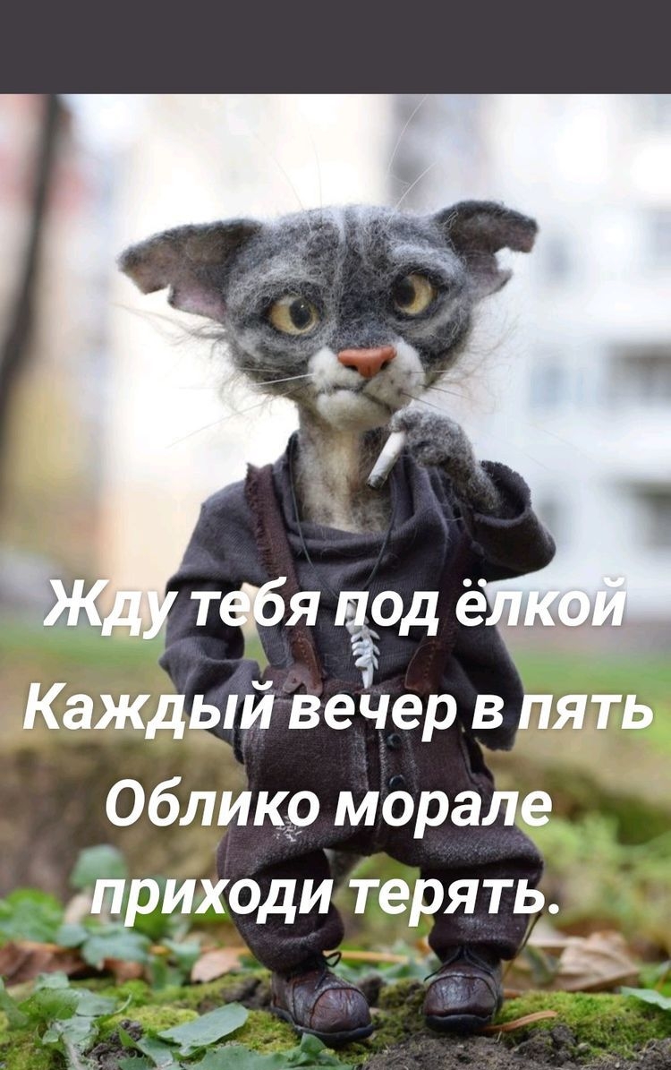 тфя од ё Каждый вечер в пять Обликр морале Ёриходи терят о г ч