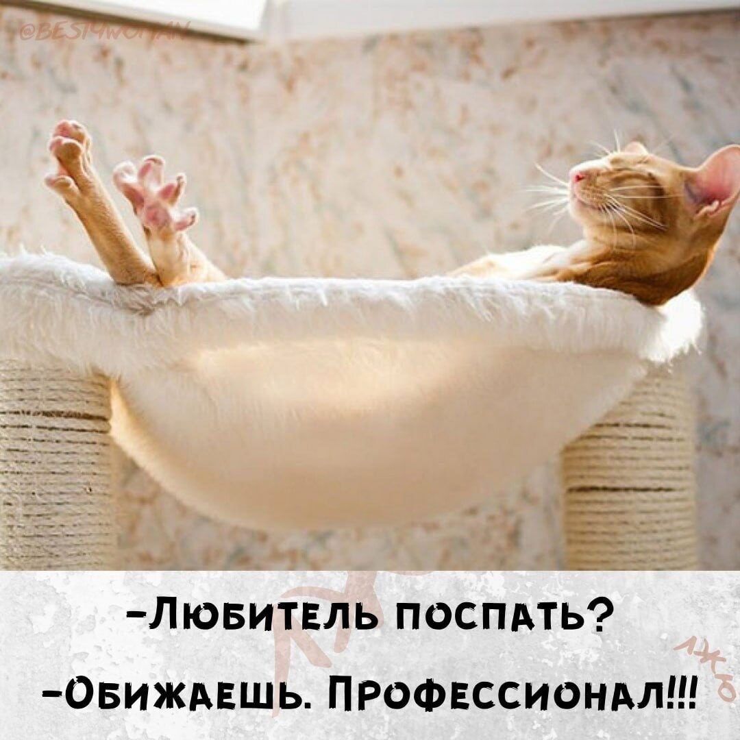 Лювитль поспдть Овижмшь ПРОФЕССИОНАЛ