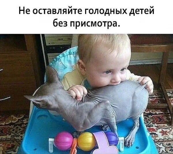 Не оставляйте голодных детей без присмотра
