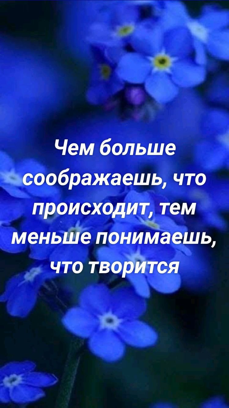 0 Чем больше Еьсоображаешь что происходит тем меныде понимаешь что тводйтся О