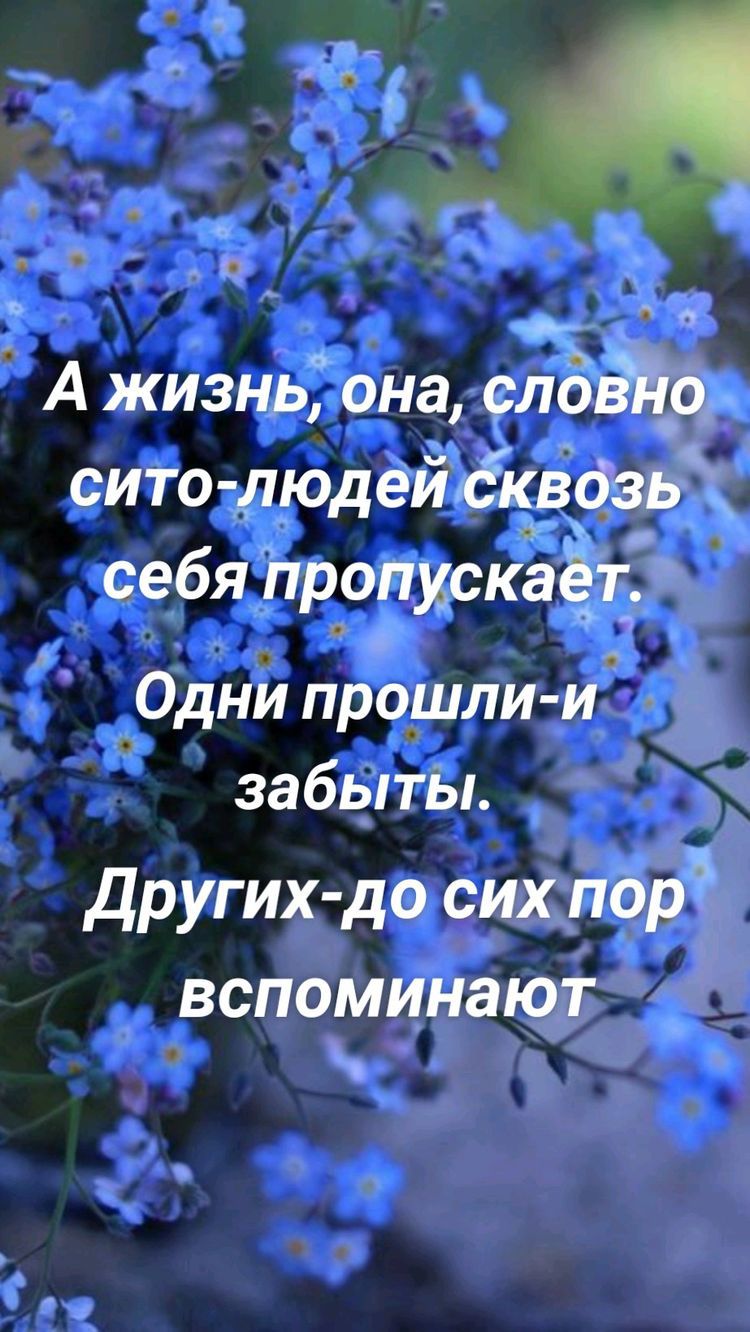 Ажизнь она слдвй_о_ сито людейбкврзь себя пропискаёт п Одни прошли и забыты других до сих пор вспоминают