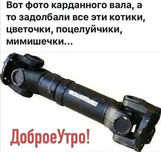Вот фото карданного вала а то задолбали все эти котики цветочки поцелуйчики мимишечки