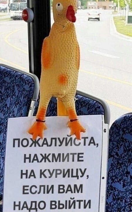 пожмуйьтд НАЖМИТЕ НА курицу если ВАМ НАДО выйти