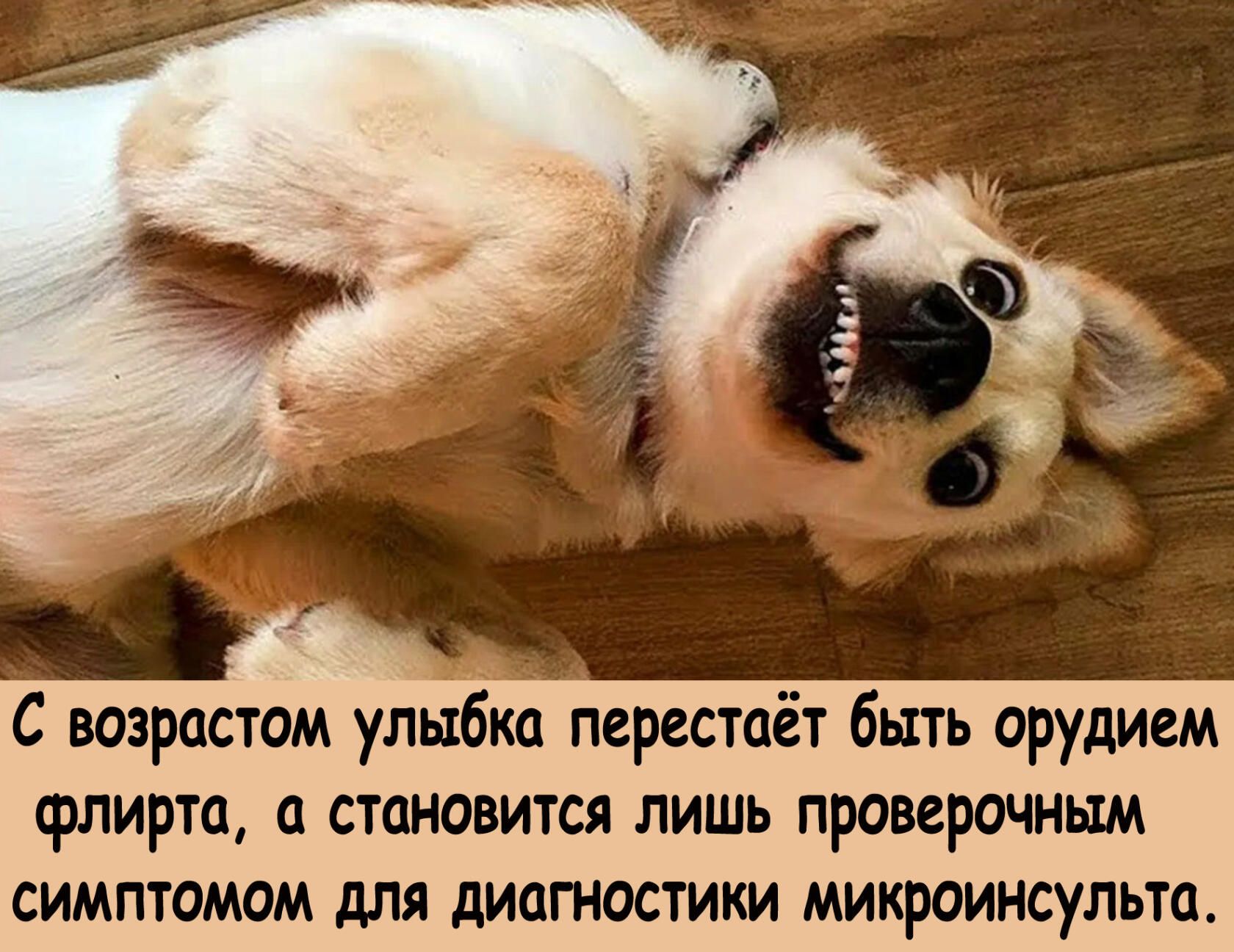 С возрастом улыбкіт перестаёт быть орудием флирта становится лишь проверить симптомм для диагностики микроинсульта