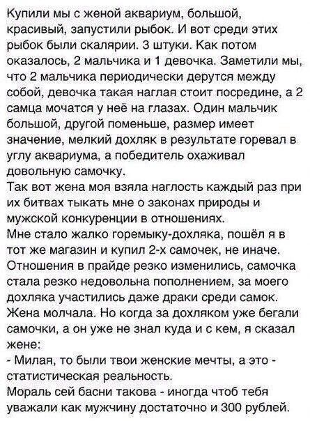 Купили мы с женой аквариум болыпой красивый запустили рыбок И вот среди этих рыбок были скалярии 3 штуки Как потом оказалось 2 мальчика и девочка Заметили мы что 2 мальчика периодически дерутся между собой девочка такая наглая стоит посредине а 2 самые мочатса у неё на глазах Один мальчик большой другой поменьше размер имеет значение мелкий дохляк в результате гврееап в углу аквариума а победитель