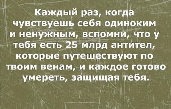 Каждый раз когда чувствуешь себя одиноким и ненужным вспомни что у тебя есть 25 млрд антител которые путешествуют по ТВОИМ венам И каждое ГОТОВО умереть защищая тебя