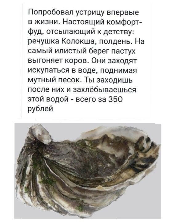 Попробовал устрицу впервые в жизни Настоящий комфорт ФУд отсыпающий к детству речушка Колокша полдень На самый ипистый берег пастух выгоняет коров Они заходят искупаться в воде поднимая мутный песок Ты заходишь после них и захпёбываешься этой водой всего за 350 рублей