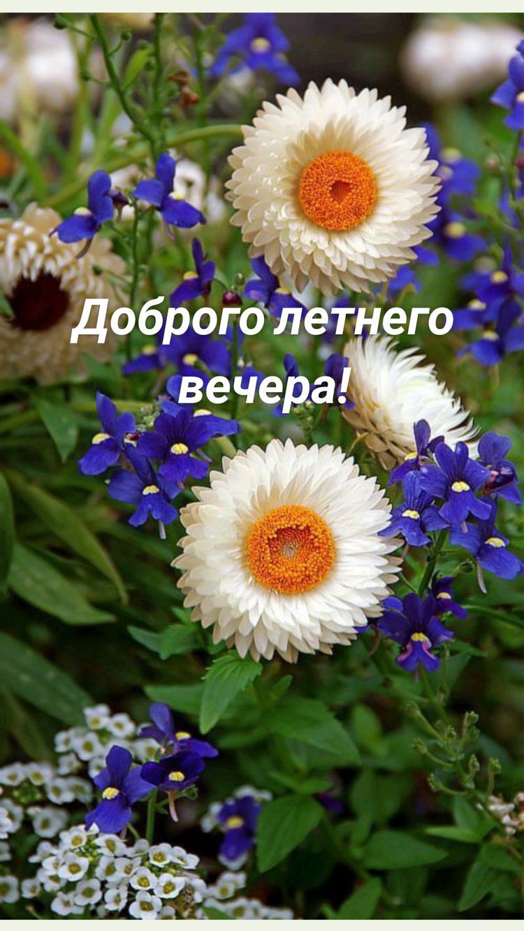 _ Гд 5 _ о_рог_41е_т его _