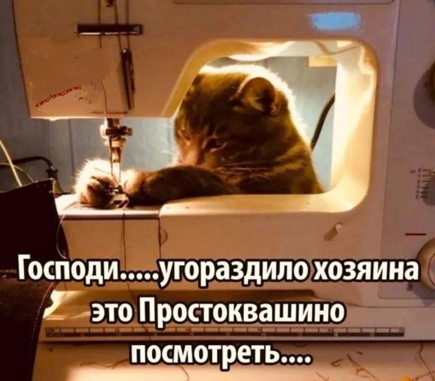 Господи угораздилохозяина Авто Простоквашино посмотреть