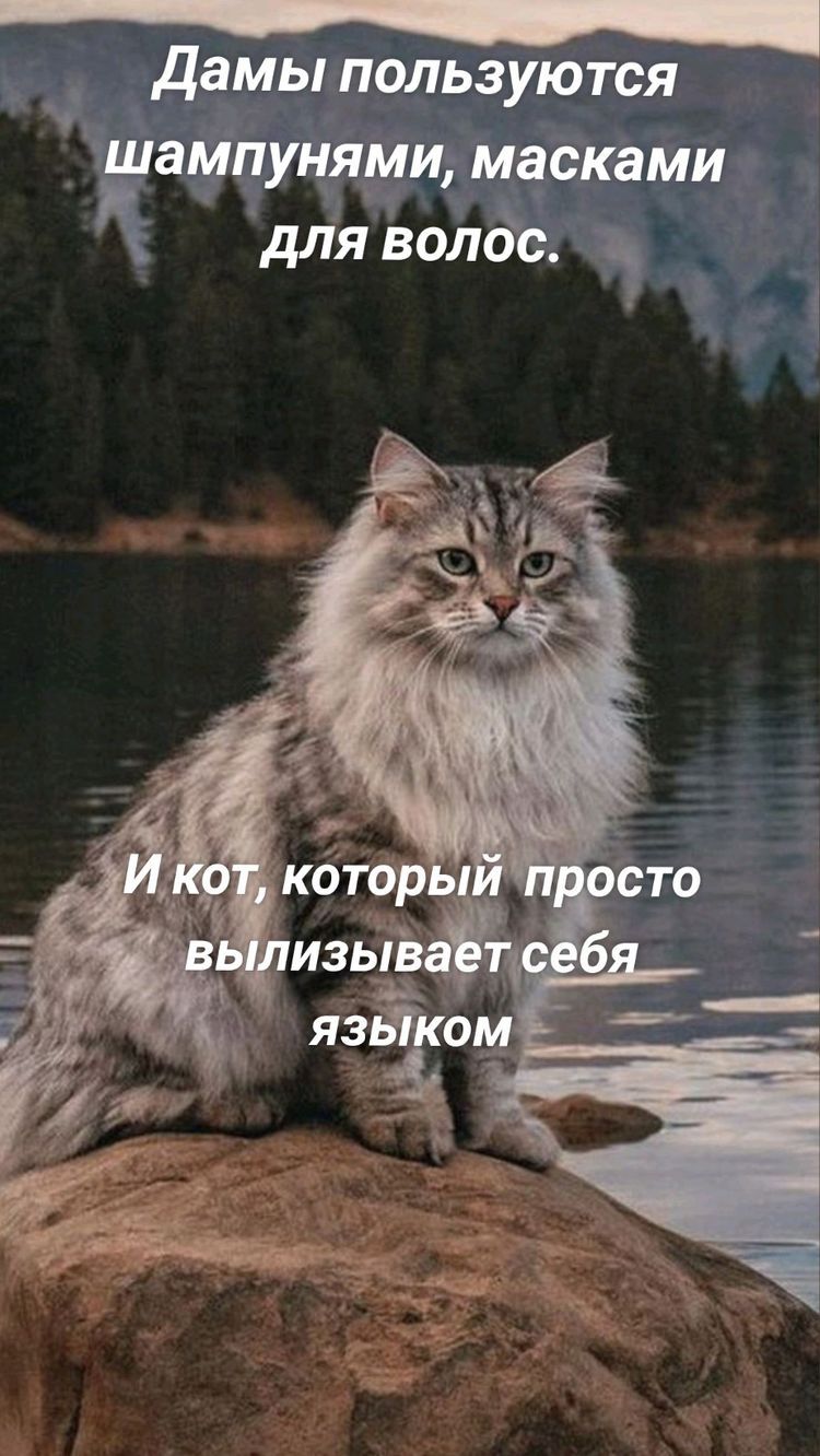 дамы пользуются шампунями масками для волос а
