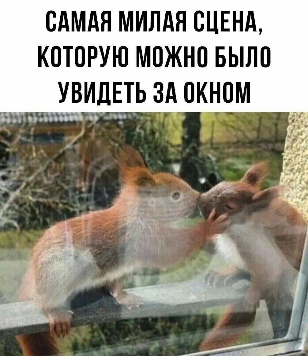 САМАЯ МИЛАН СЦЕНА КПТОРУЮ МОЖНО БЫЛО УВИДЕТЬ ЗА ОКНПМ