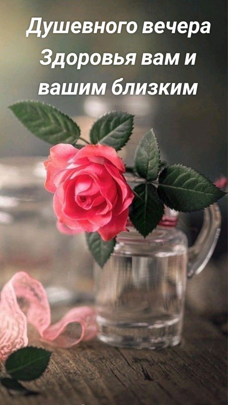 шевного вечера оррвья вам и