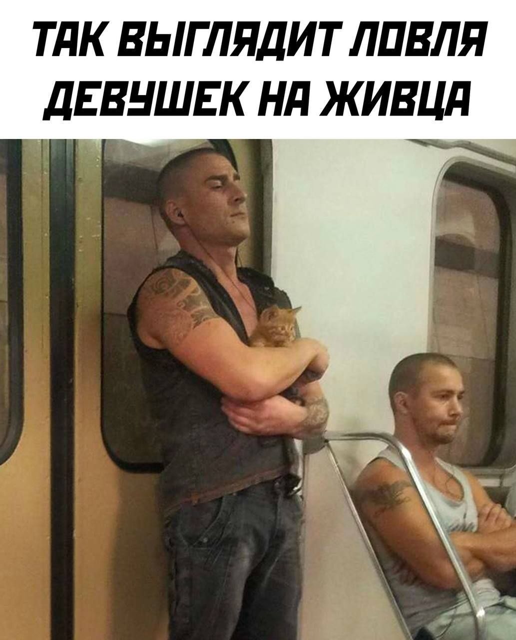 ТПК ВЫГЛЯДИТ ЛПВЛЯ дЕВНШЕК Нд ЖИВЦд