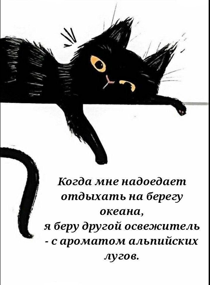 Когда мне надоедает отдыхать на берегу океана я беру другой освежитель с ароматом альпийских лугов