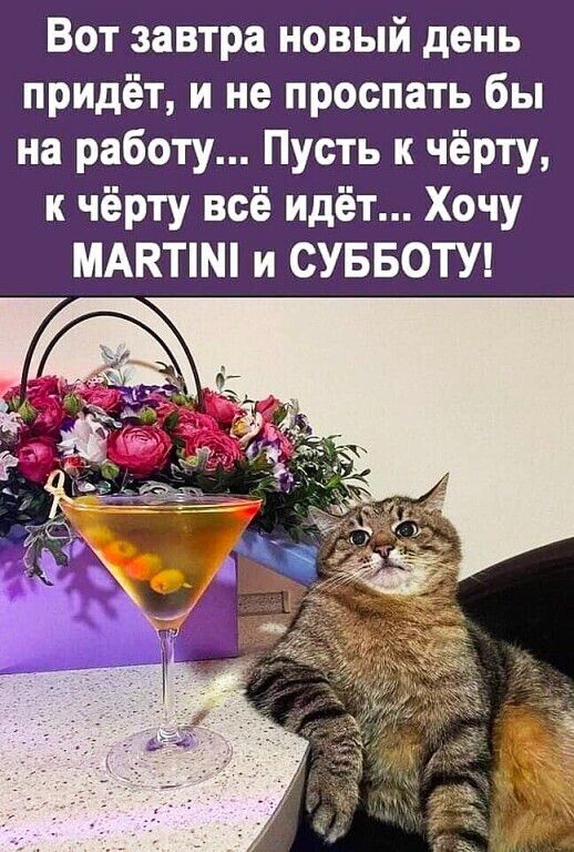 Вот завтра новый день придёт и не проспать бы на работу Пусть к чёрту к чёрту всё идёт Хочу МАКТМ и СУББОТУ