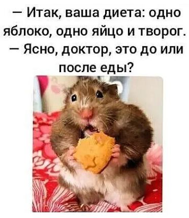 Итак ваша диета одно яблоко одно яйцо и творог Ясно доктор это до или после еды