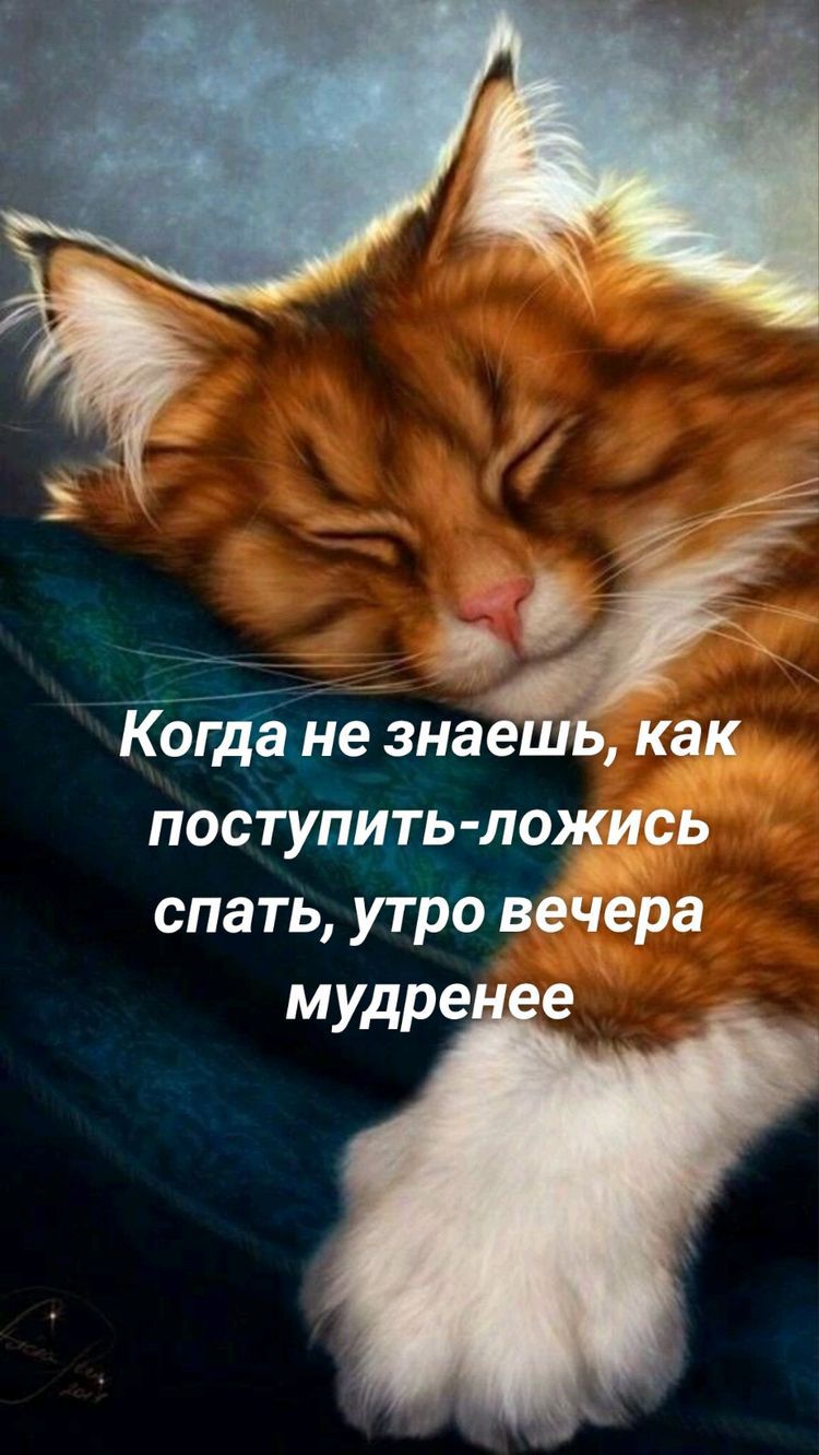 0 КіолЁаціе знае как постуЩть ложись спать утро вечера мудре е