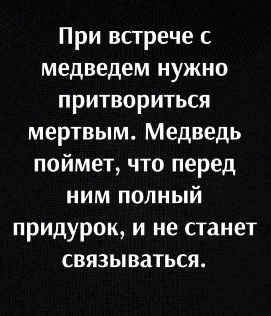 При встрече с медведем нужно притвориться мертвым Медведь поймет что перед ним полный придурок и не станет связываться