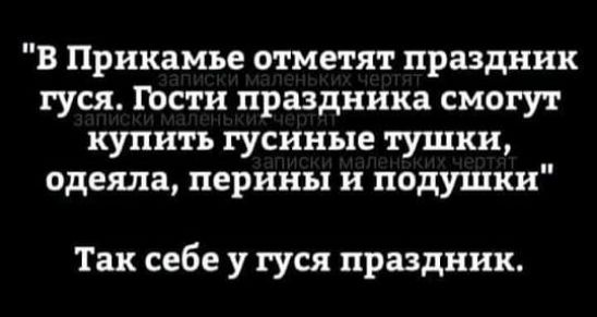 в Прикамье отметят праздник гуся Гости праздника смогут купить гусиные тушки одеяла перины и подушки Так себе у гуся праздник