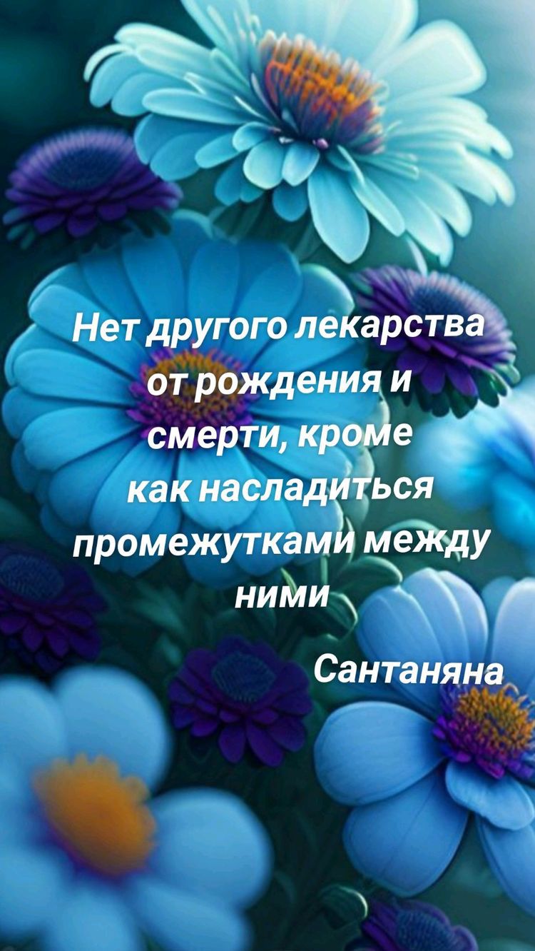 Нет гоголекарств ени А смерти кр какнаслад ьсяд промежуткам мещу нийи Сантаняна